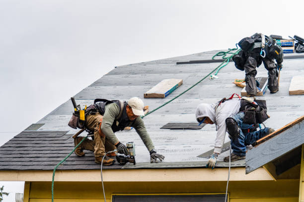 Professional Gutter Installation technician working in Dallas, PA